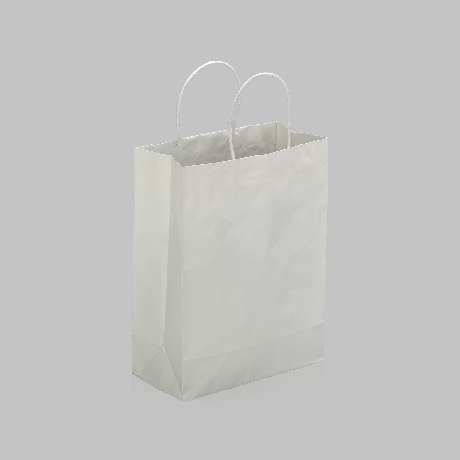 Paper Bag with Handles