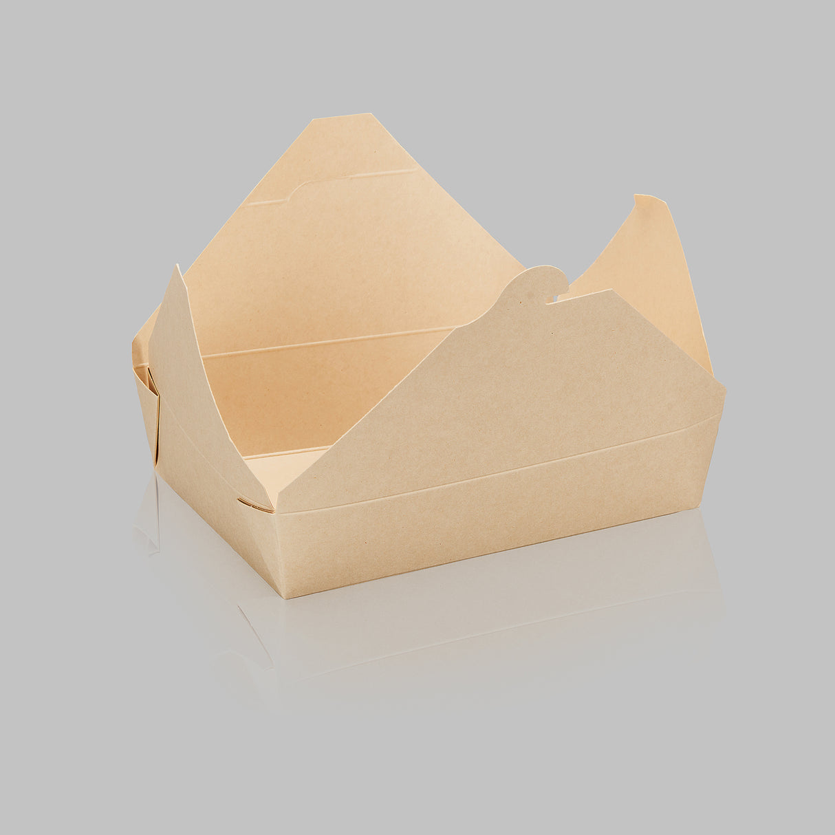 Paper Folded / Folding Food Box