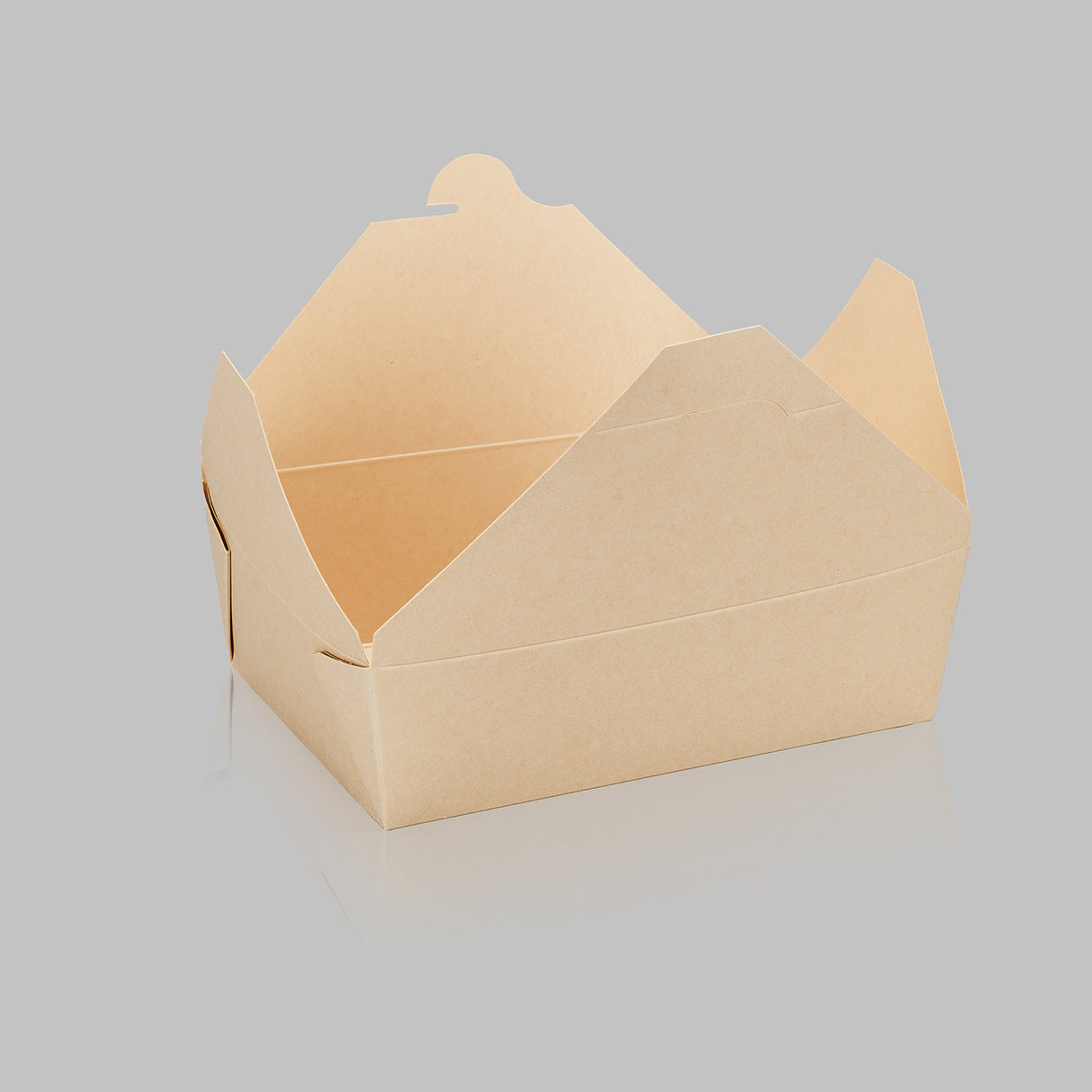 Paper Folded / Folding Food Box