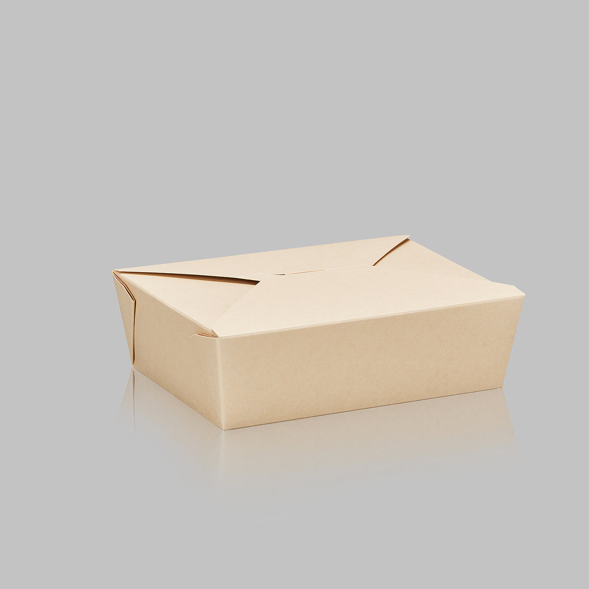 Paper Folded / Folding Food Box