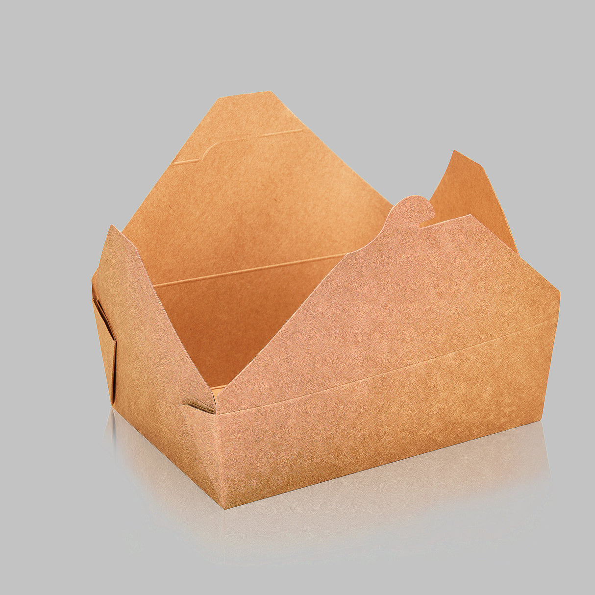 Paper Folded / Folding Food Box