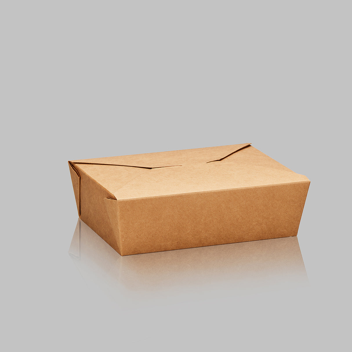 Paper Folded / Folding Food Box