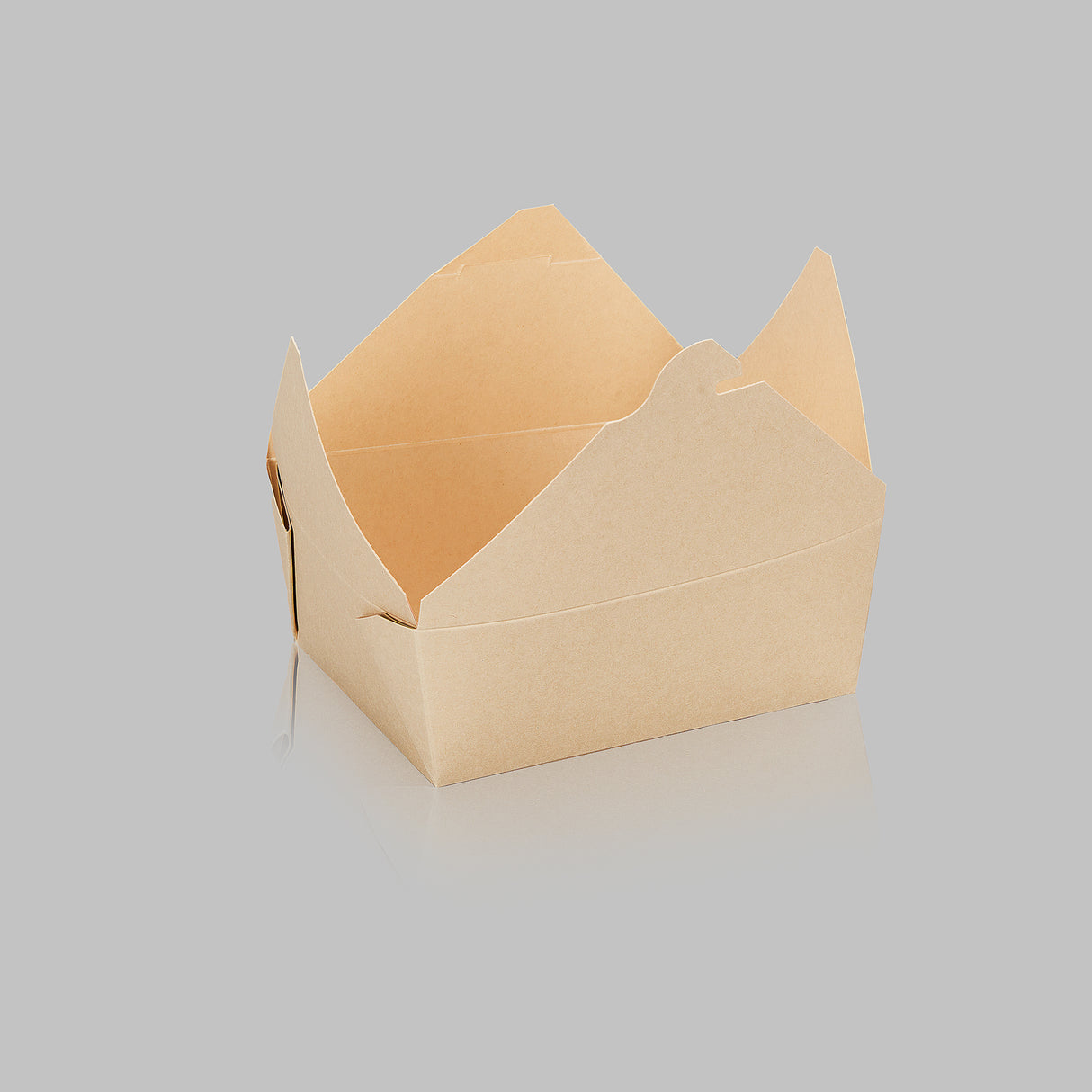 Paper Folded / Folding Food Box