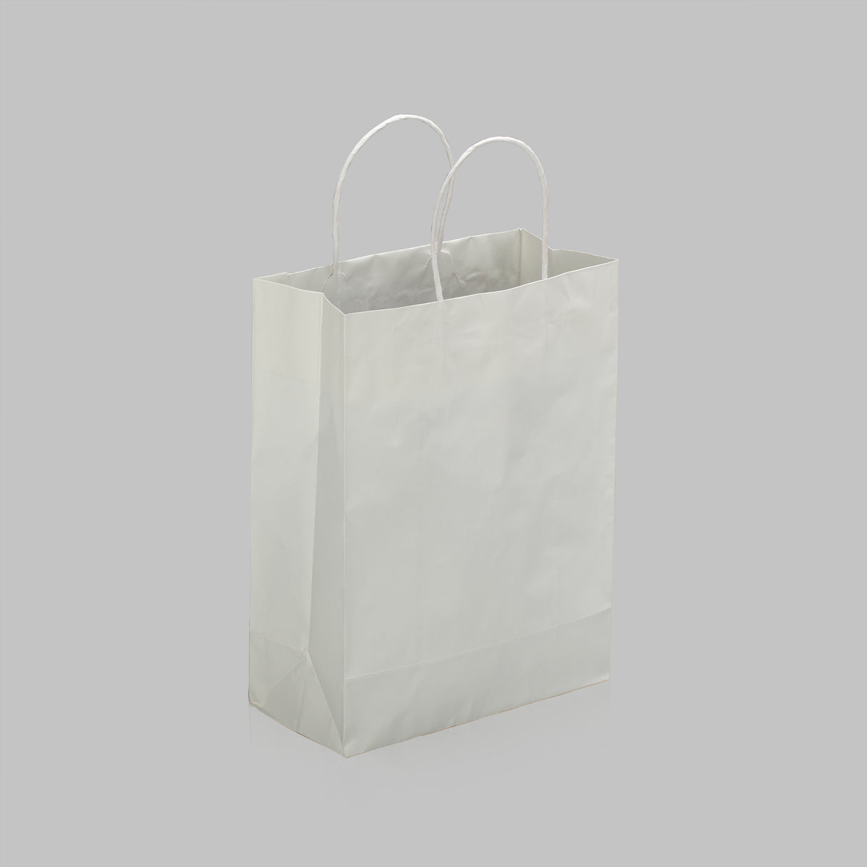 Paper Bag (10" x 5" x 13", White) - 250/Case